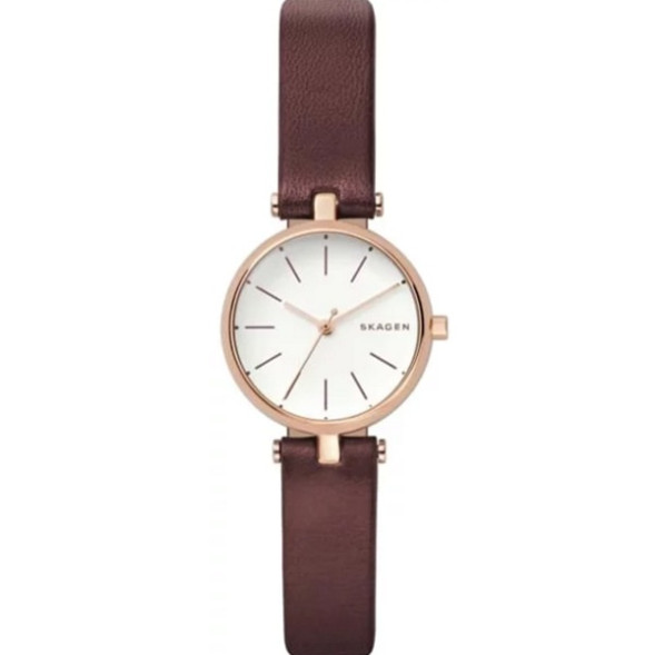 Часы Skagen SKW2641