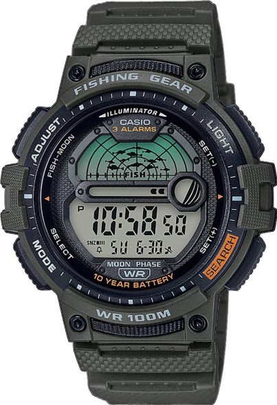 Часы CASIO WS-1200H-3A