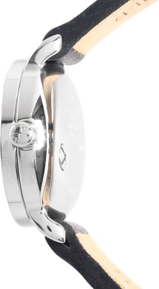 Часы Skagen SKW2361