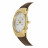 Наручные часы Skagen 583XLGLD