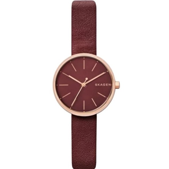 Часы Skagen SKW2646