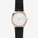 Часы Skagen SKW1102