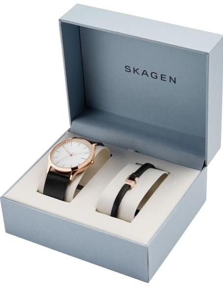 Часы Skagen SKW1102
