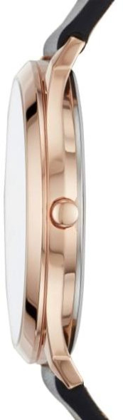 Часы Skagen SKW1102