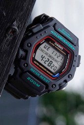 Casio DW-290-1E