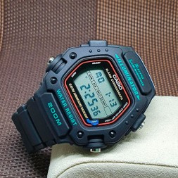Casio DW-290-1E