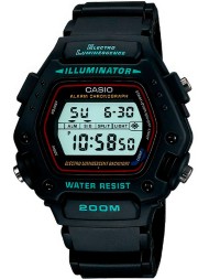 Casio DW-290-1E