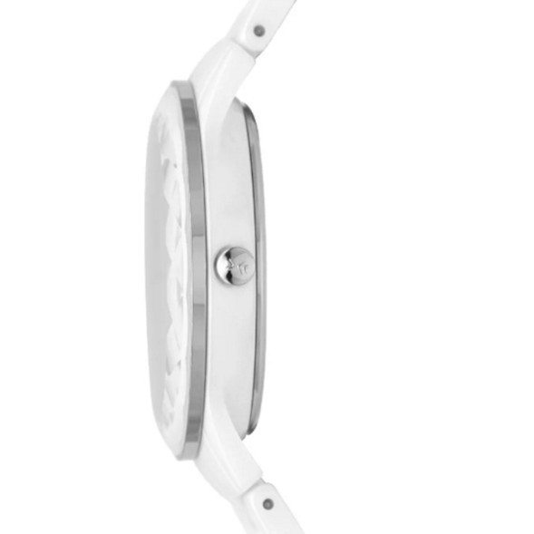 Часы Skagen SKW2066