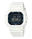 Часы Casio DW-B5600SF-7E