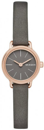 Наручные часы Skagen SKW2359