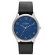 Часы Skagen SKW6151
