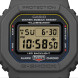 Casio DW-5600MNC-8A2