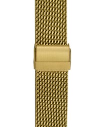 Президент 4506150_бр