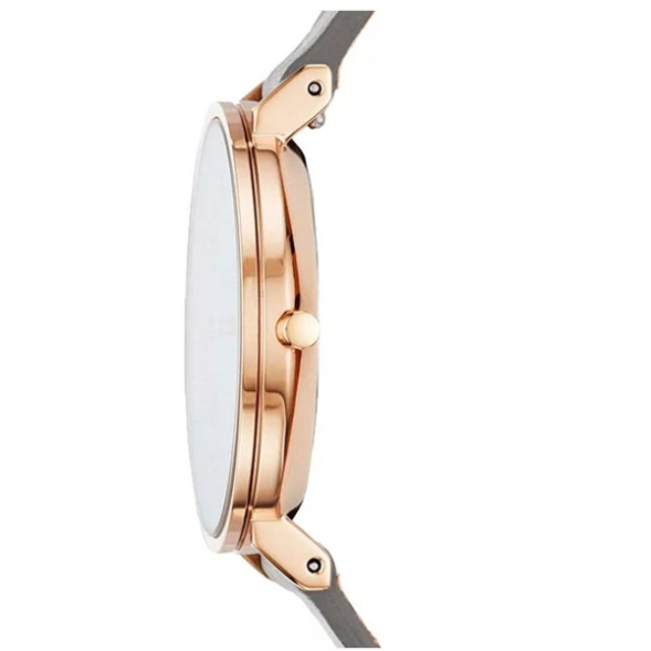 Часы Skagen SKW2674