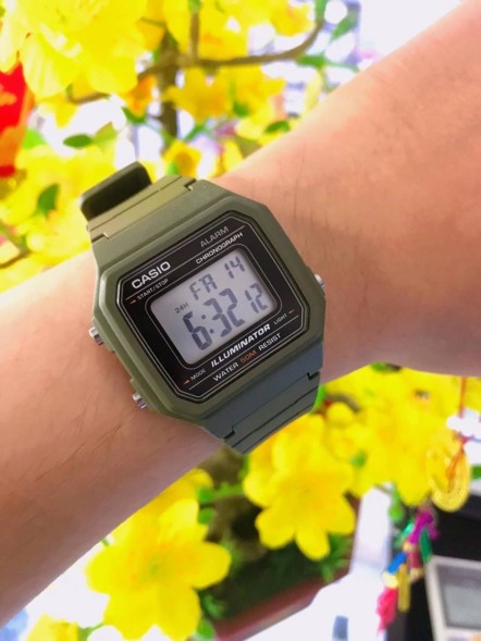 Часы Casio W-217H-3A