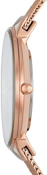 Часы Skagen SKW2518