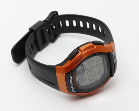 Часы Casio WS-2000H-4A