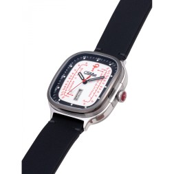 Слава 3265717/300-8205