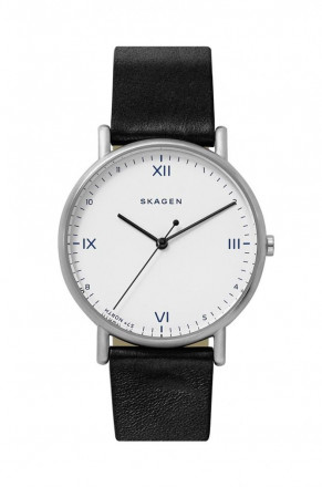 Наручные часы Skagen SKW6412