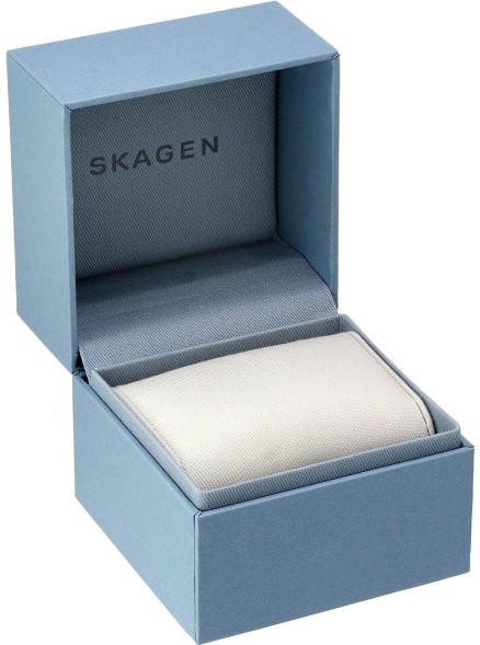 Часы Skagen SKW6412