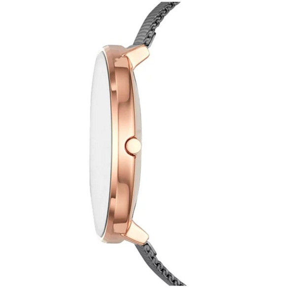 Часы Skagen SKW2689