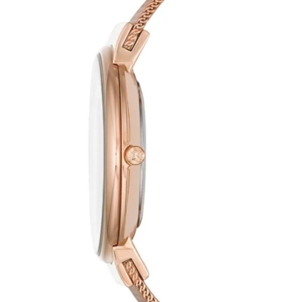 Часы Skagen SKW2130