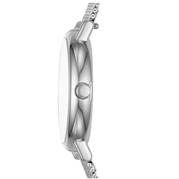 Часы Skagen SKW2692