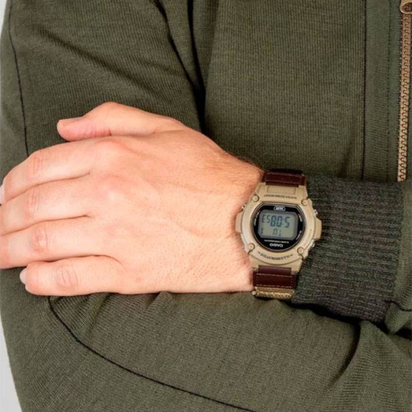 Часы Casio W-219HB-5A