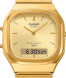 Часы Casio AQ-240EG-9A