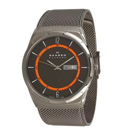 Наручные часы Skagen SKW6007