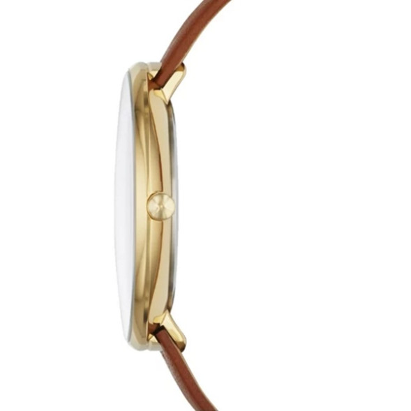 Часы Skagen SKW2138