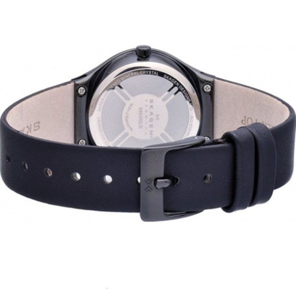 Часы Skagen 886SBLB