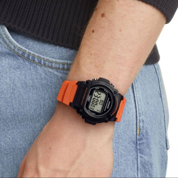 Часы Casio W-219H-4A