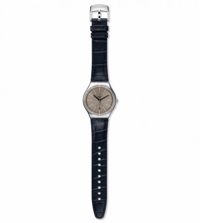Наручные часы Swatch EPPENDORF YWS415