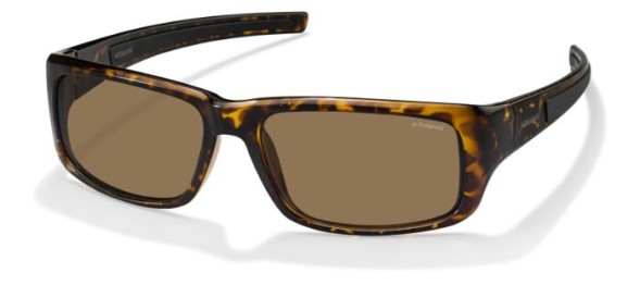 Polaroid PLD 3013/S V08