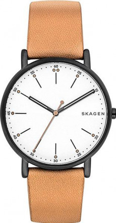 Наручные часы Skagen SKW6352