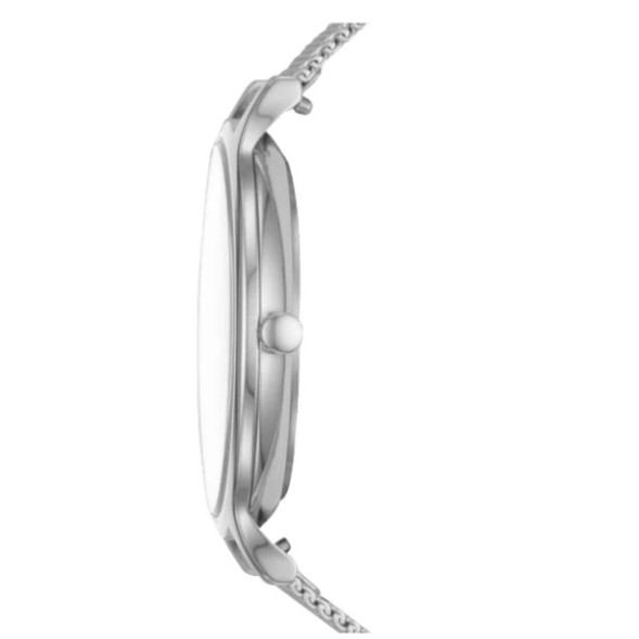 Часы Skagen SKW2701