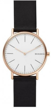 Наручные часы Skagen SKW6430