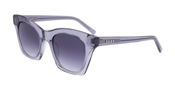 Часы DKNY DK541S 520