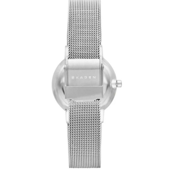 Часы Skagen SKW2195
