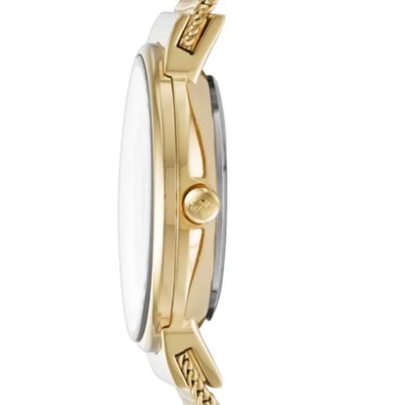 Часы Skagen SKW2196