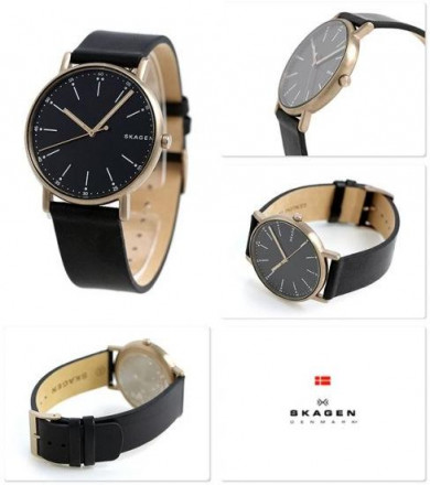 Наручные часы Skagen SKW6401