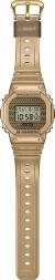 Casio DWE-5600HG-1