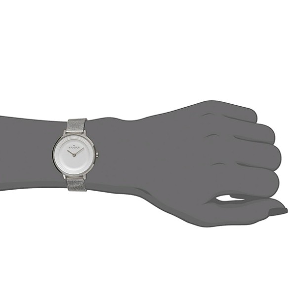 Часы Skagen SKW2211
