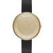Часы Skagen SKW2262