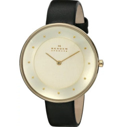 Skagen SKW2262