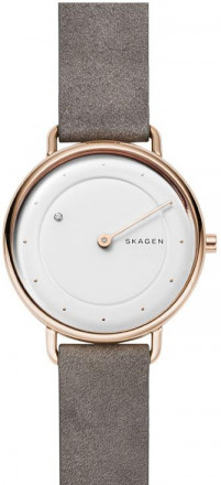 Наручные часы Skagen SKW2739
