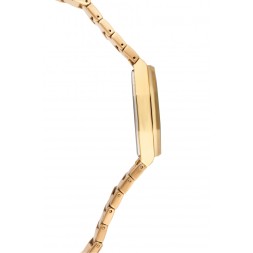 Слава 2389483/100-2035