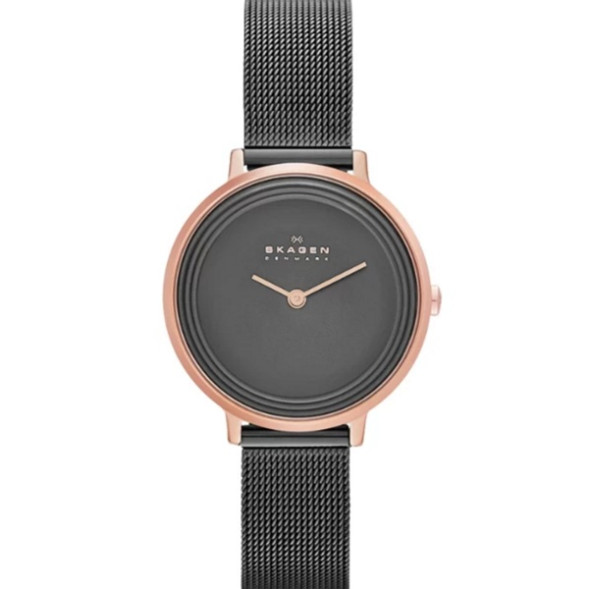 Часы Skagen SKW2277