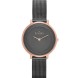 Часы Skagen SKW2277